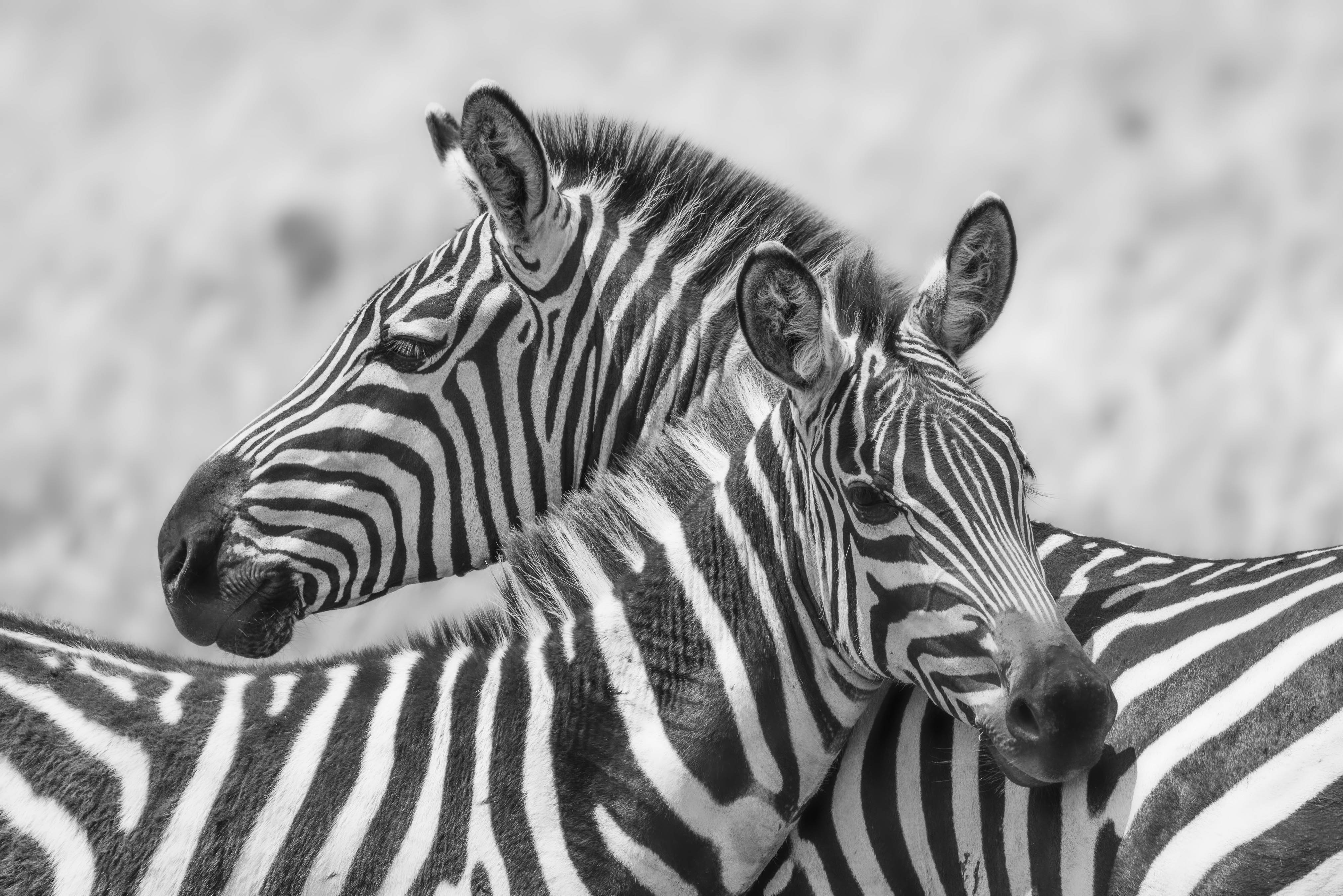 November 10, 2022-112908-2-Edit.jpg